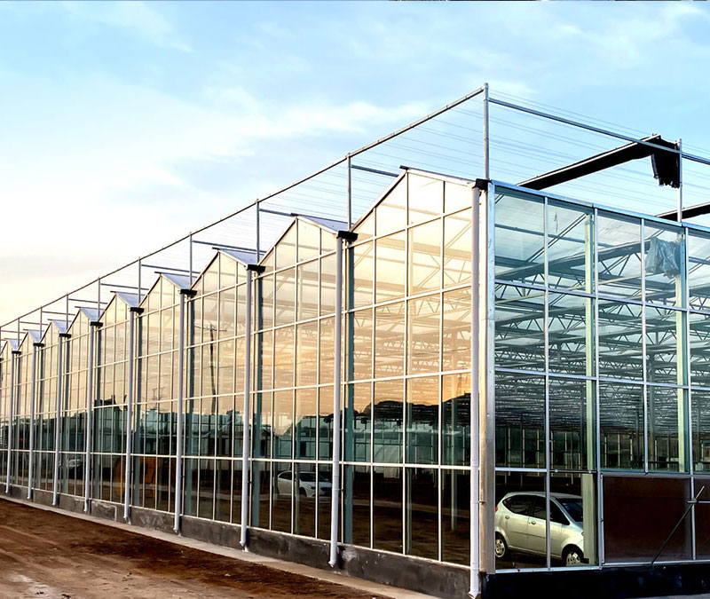 玻璃溫室大棚搭建時(shí)要考慮哪些因素